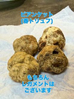 久しぶりのアップです