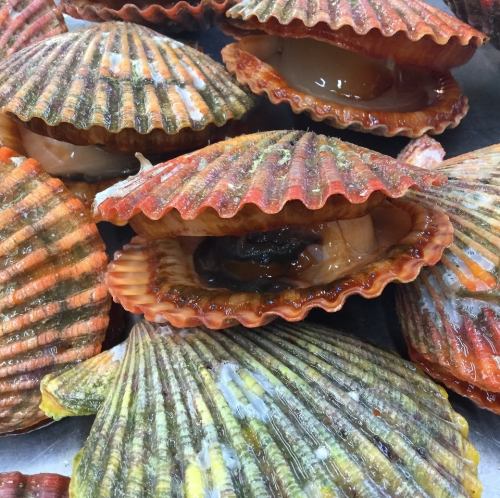 ひおうぎ貝焼き(1コ)