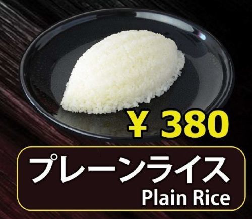 プレーンライス