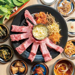 뼈가 달린 백 리브 세트