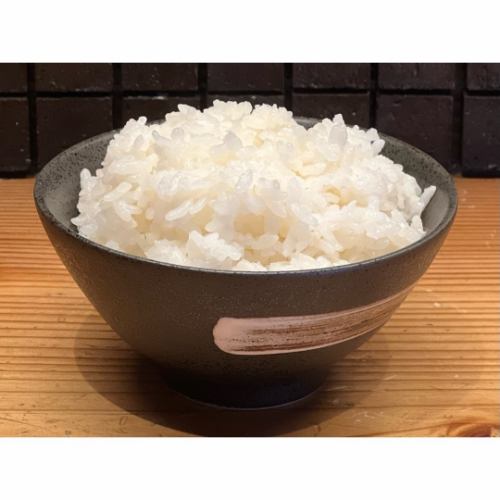 밥 각종