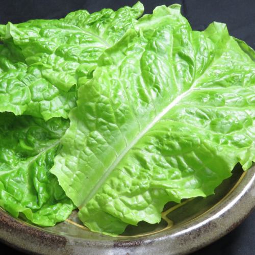 Lettuce wrapping vegetables