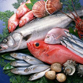 Akanishi shellfish / red shellfish / plum shellfish / Spanish mackerel / mackerel / manju shellfish / sweet shrimp / yellowtail etc.