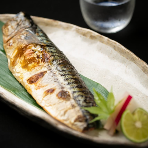 [Recommended] Mackerel