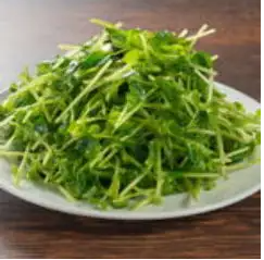 豆苗塩味炒め