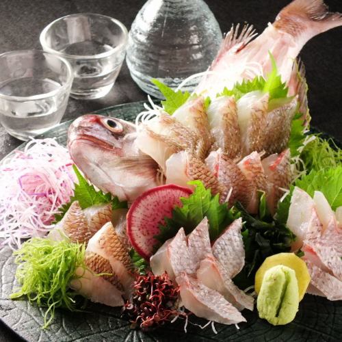 Ikezukuri of Ehime red sea bream