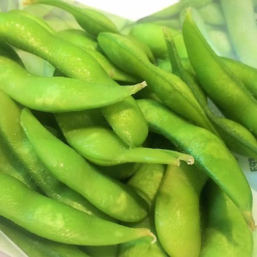 Freshly boiled edamame