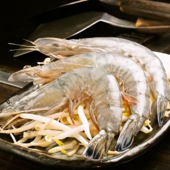 Grilled angel shrimp
