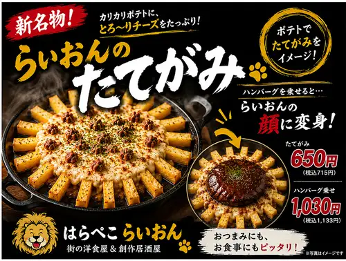 らいおんのたてがみ