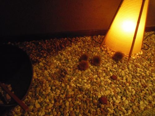 店内には、優しい和の空間がひろがります。