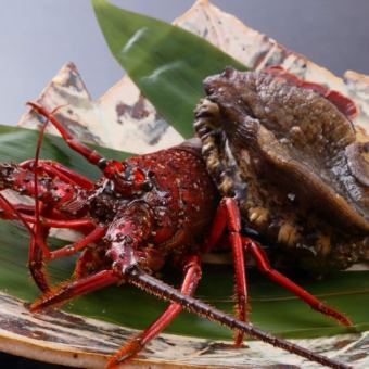 Lobster or abalone, Japanese black beef fillet & sirloin <Konjaku> 8 dishes total 20,000 yen (tax included)