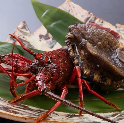 Lobster or abalone, Japanese black beef fillet & sirloin <Konjaku> 8 dishes total 20,000 yen (tax included)