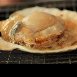 Grilled live scallops