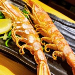 【造り】大赤海老