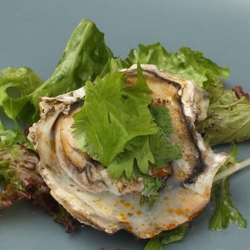 Steamed oysters with coriander sauce