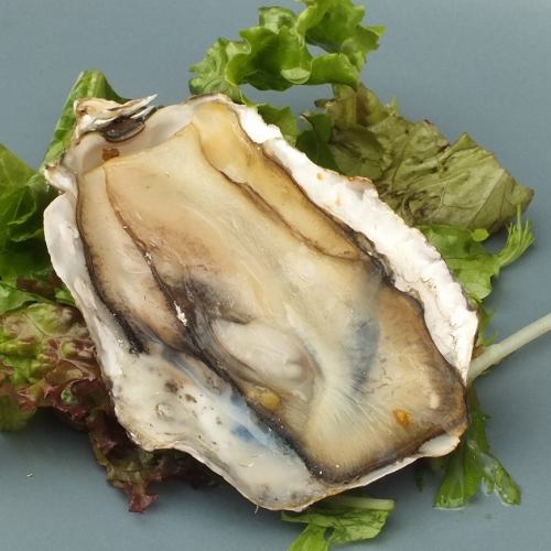 simple grilled oysters
