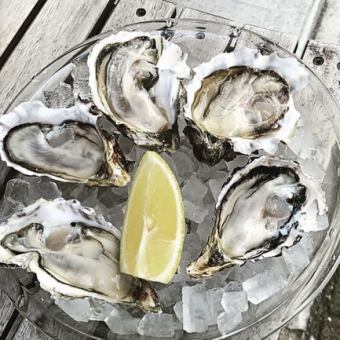 新春お年玉企画 2026牡蠣初め