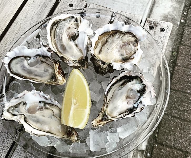 生牡蠣の食べ比べ