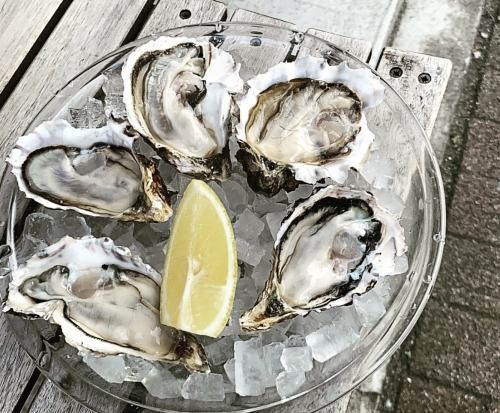 生牡蠣の食べ比べ