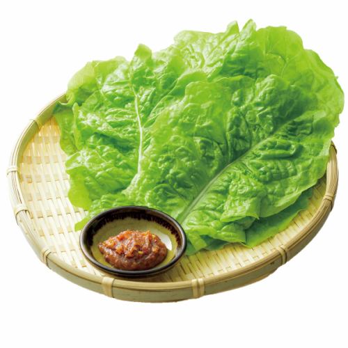 会員様のみ【採れたて野菜】サービス致します！