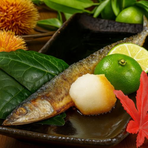 Grilled salted saury