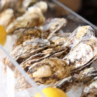 Sakakoshi Oyster A, Ako Crystal Blanc M, Milk Oyster S
