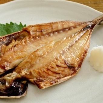 Horse mackerel filleted