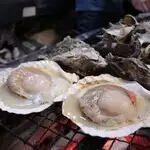 호타테 조개 기둥