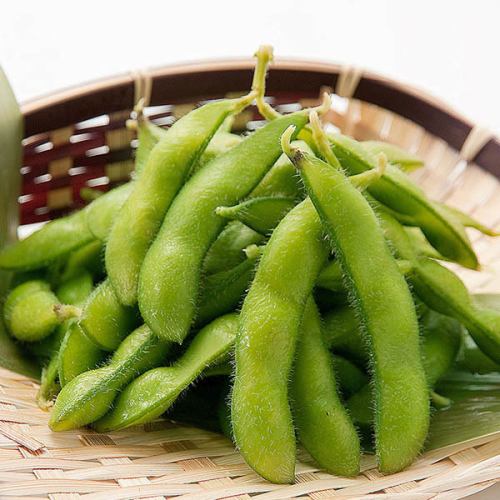 【農家直送】新鮮採摘的毛豆（煮熟）