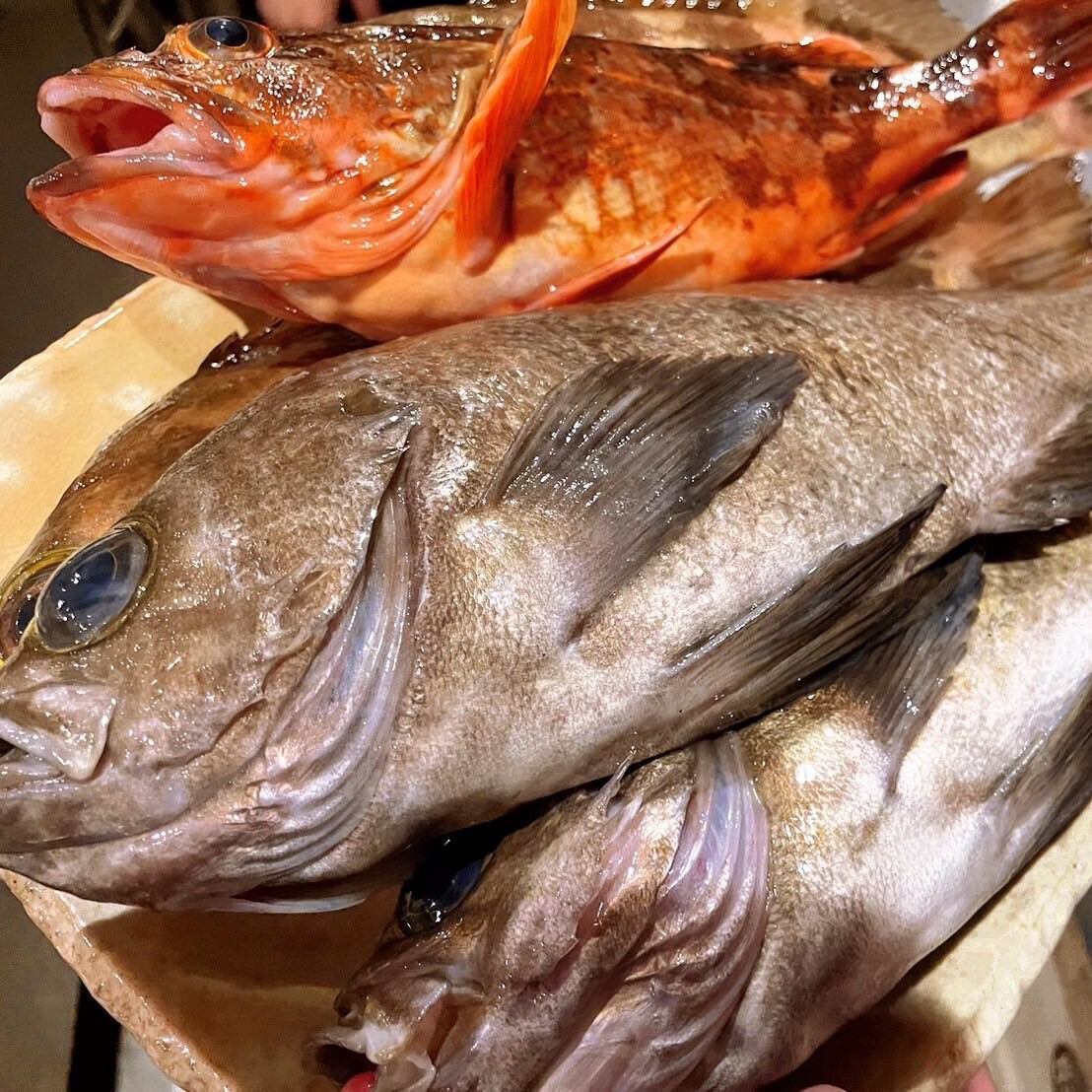 有時，新鮮捕獲的魚會送到菜單上！