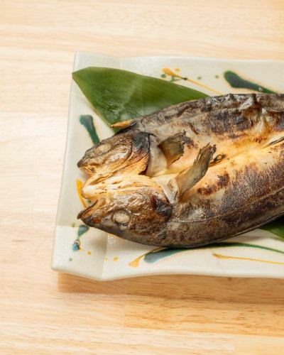 Good evening!
It's Tenkochi 🍶

This is overnight dried Atka mackerel 🐟
If you ask,
The smell of grilled fish fills the restaurant!
Smelling nice makes us happy and other customers happy too!

It's a spectacular menu!
Please share and eat with everyone 🐟🐟

-----------------------------------------

Evolutionary Public Bar Tenkochi

Kobe City, Chuo Ward, Nakayamatedori 1-16-15 Furubayashi Building 1F

☎078-335-8786

#Tenkochi #Sannomiya Gourmet #Sannomiya Gourmet #Higashimon Street #Kobe Gourmet #Kobe Dinner #Kobe #Hyogo Gourmet #Kansai Gourmet #Kobe Sannomiya #Hyogo #Kansai Dinner #Kobe Izakaya #Sannomiya Izakaya #Pub Tenkochi #Preparing for opening #Recruiting opening staff #Kobe job openings #Kobe Kushikatsu #Kushiage