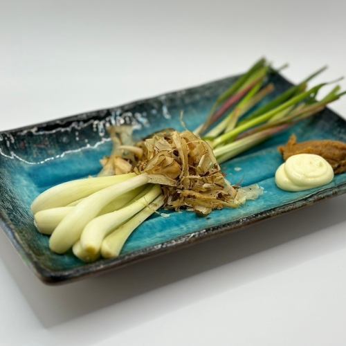 島らっきょ