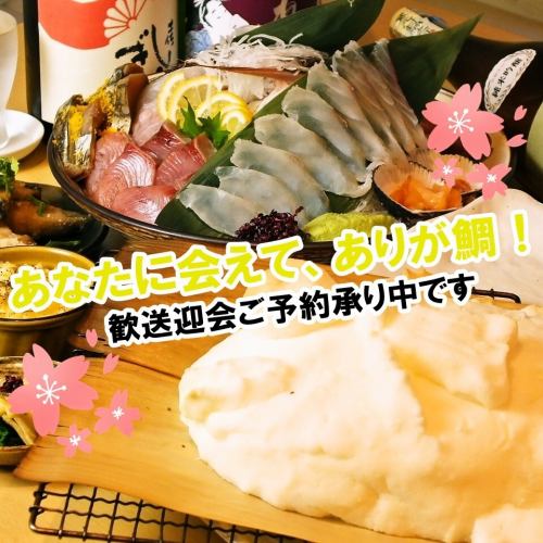 今年我們會再做一次★告別會特別套餐5,500日元◇贈送鹽鍋烤鯛魚並留言
