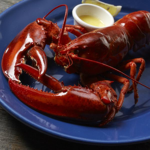 The world's highest quality live lobster!