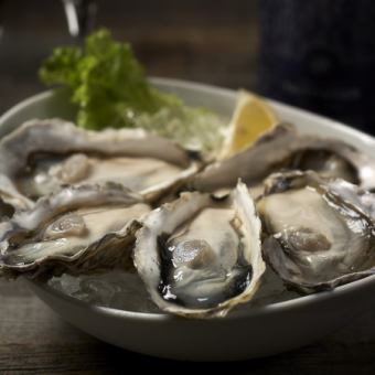 Cold Oyster (1 piece)