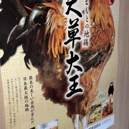 【熊本の美しい自然が育んだ日本最大級の地鶏をご堪能頂ける】くまもとの地鶏”天草大王コース”