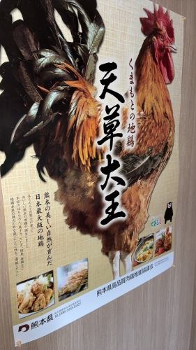【熊本の美しい自然が育んだ日本最大級の地鶏をご堪能頂ける】くまもとの地鶏”天草大王コース”
