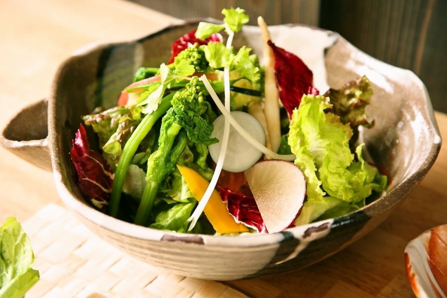 Special Japanese-style salad with heaped cabbage Small: 680 yen (748 yen including tax) / Medium: 880 yen (968 yen including tax)