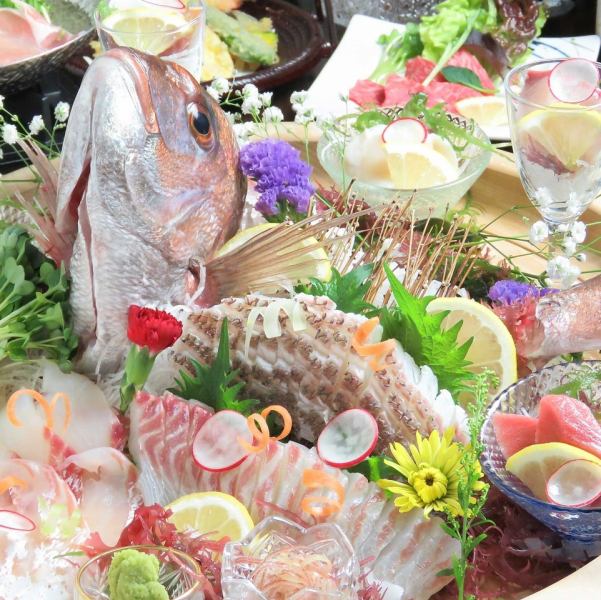 各種ご宴会やお祝いの席には【豪華姿造り】がおすすめ◎瀬戸内海で育った旬の鮮魚を、目の前で調理します！