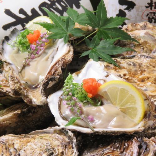 身が白く、大粒でふっくら柔らかな【岩牡蠣】や、口の中でとろける食感と甘みが最高の【生雲丹】も大人気◎
