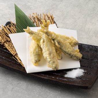稚鮎の天ぷら