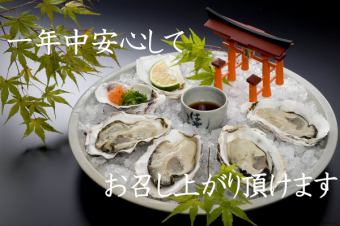 生がき　4個　Raw Oysters (4pieces)