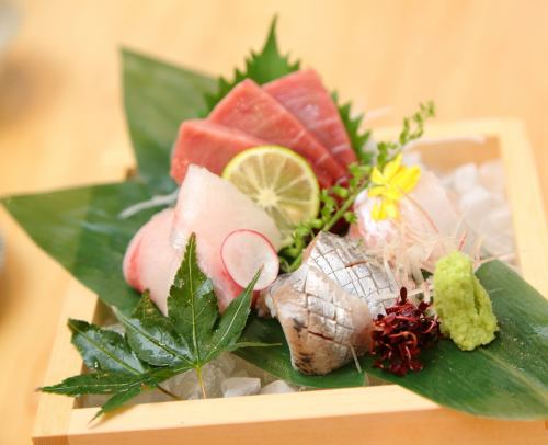 新鮮的魚和生魚片Chigasaki Prime