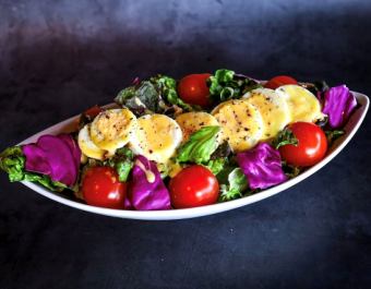 ココログサラダ