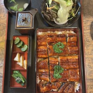 鳗鱼套餐