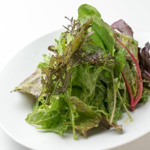 Green salad of organic vegetables