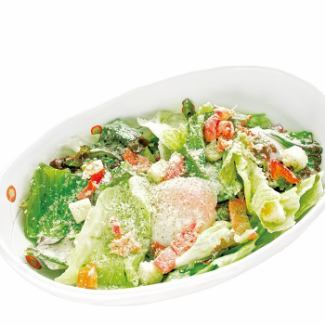 Caesar Salad with Pork Egg / Bulgogi-style Grilled Meat Salad
