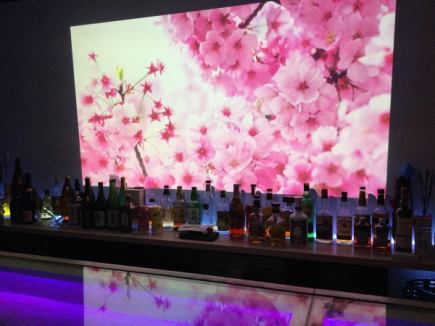 飲み放題時間無制限！おひとり様6000円【プレミアム酒を除く】