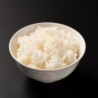 Rice: Regular