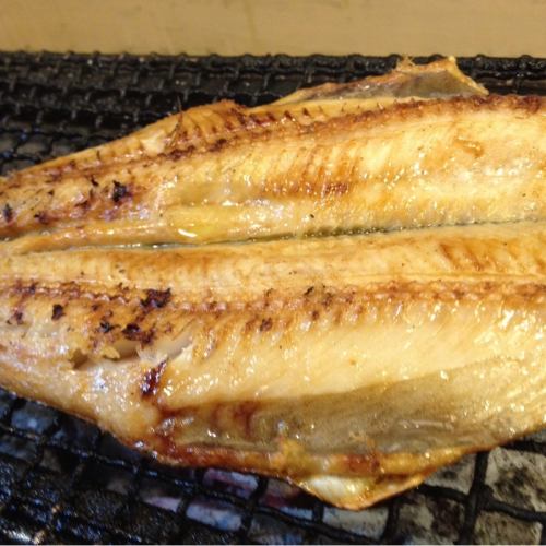 Atka mackerel opening